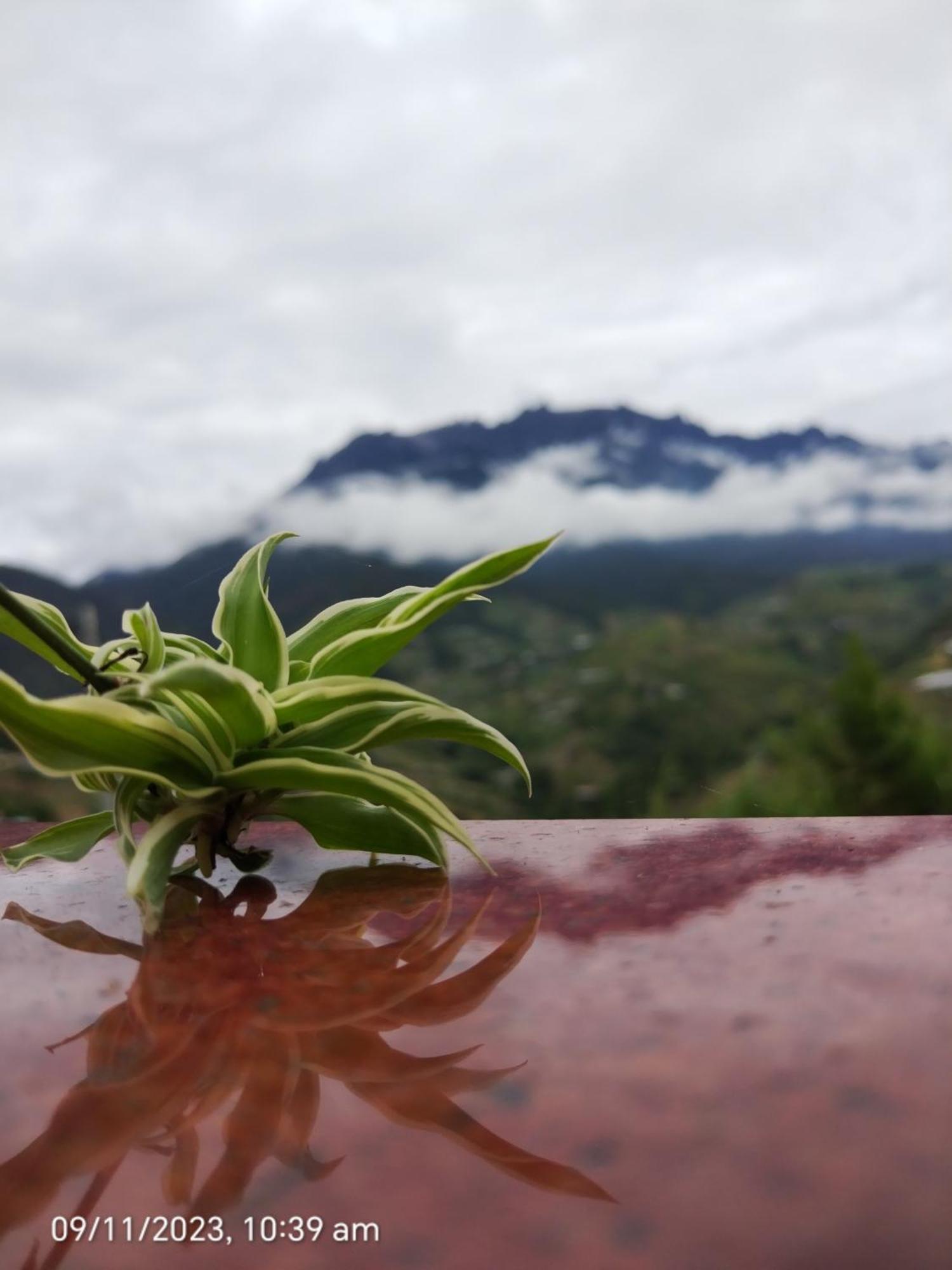 Highland Homestay Kundasang 拉瑙 外观 照片